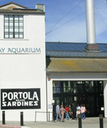 Monterey Bay Aquarium cannery row photo